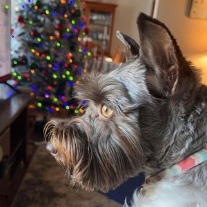 Meet your Posher, Shane